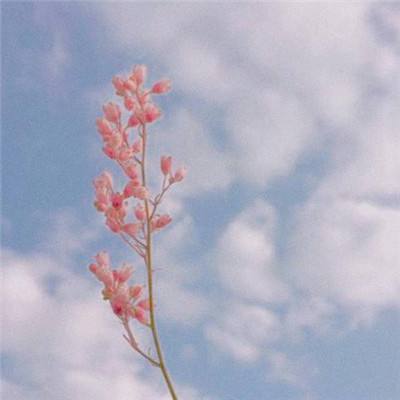 魔导少年激斗手游下载