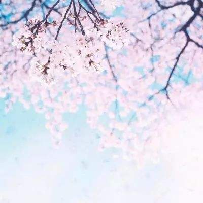 机战王游戏下载安装