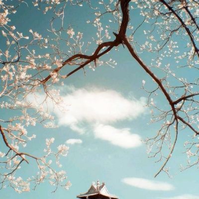花样武侠之江湖论剑手游(暂未上线)v2.1 安卓版